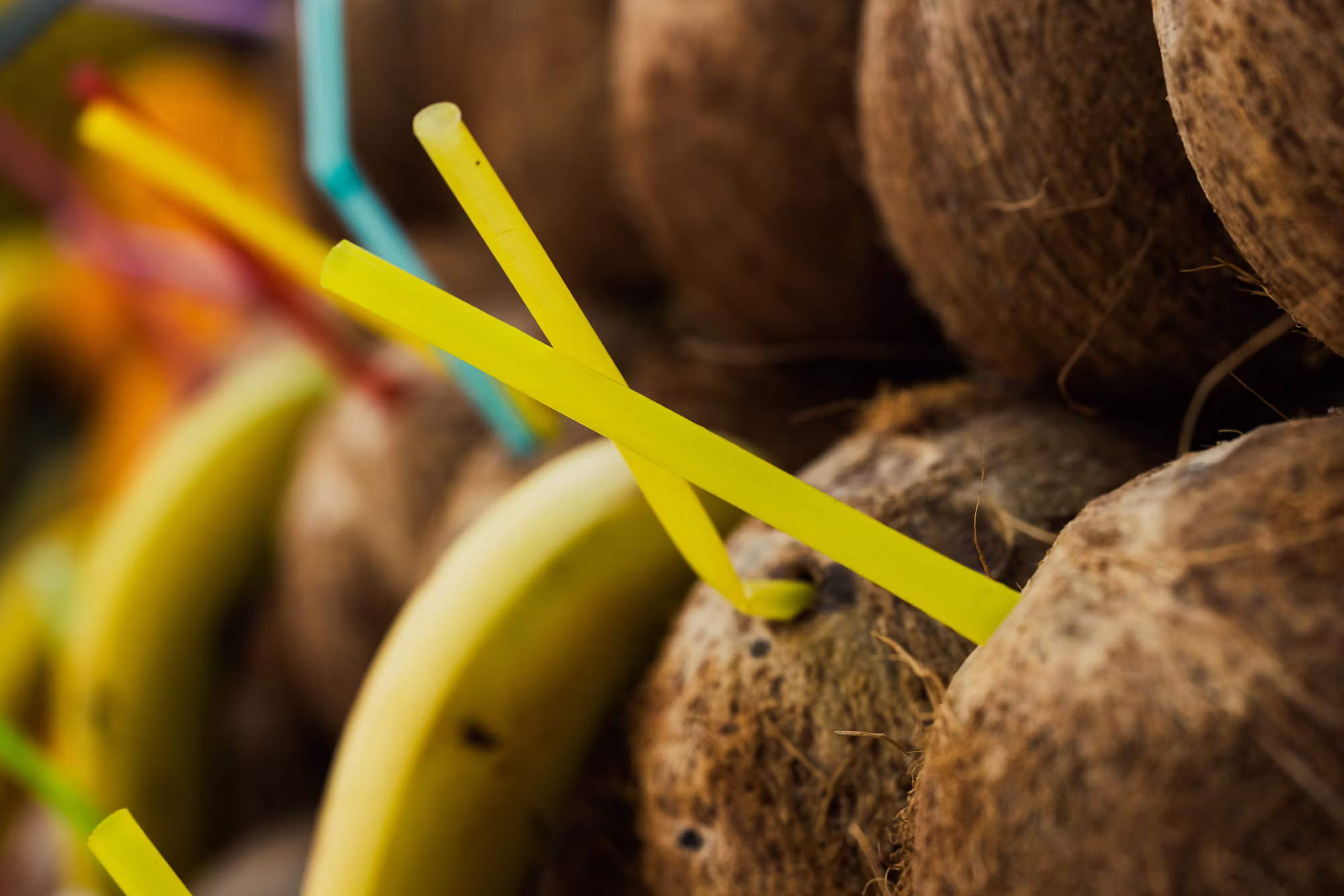 Culinary Adventures: The Allure of Food Markets Around the World